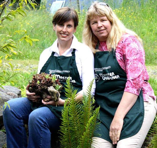 Free class on living wreaths and homemade topiary set