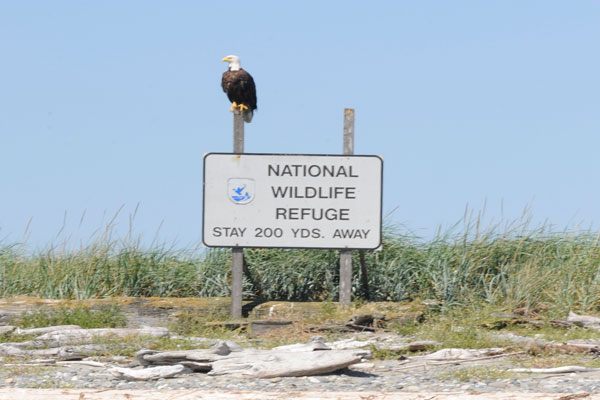 Make yourself at home