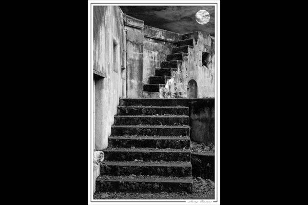 Take a step to the Sequim side of life