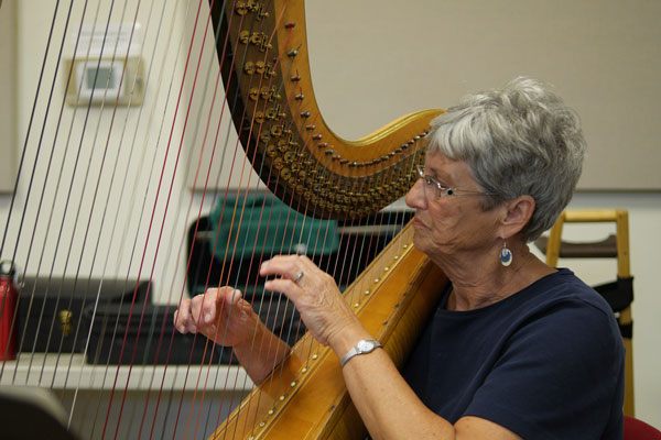 Community Orchestra finishes season Friday