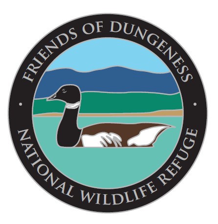 Shorebird walk set at Dungeness refuge