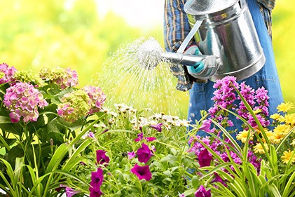 Master Gardener Judy English some gardening tips for may.