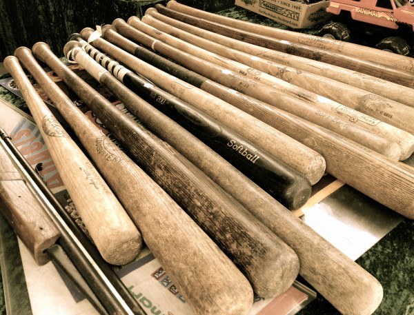 Peninsula inks deal with wood bat team