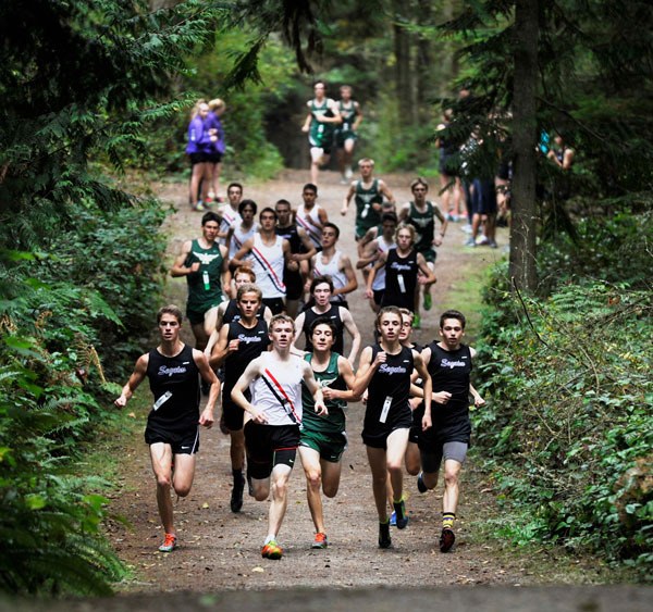 Sequim runners surround competitors at their home meet on Oct. 8 at Robin Hill Park. The Wolves took second-sixth places for the boys.