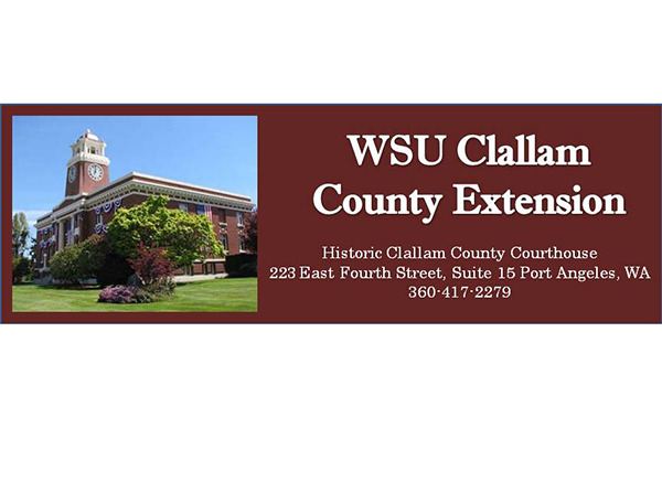WSU extension seeks seeks intern