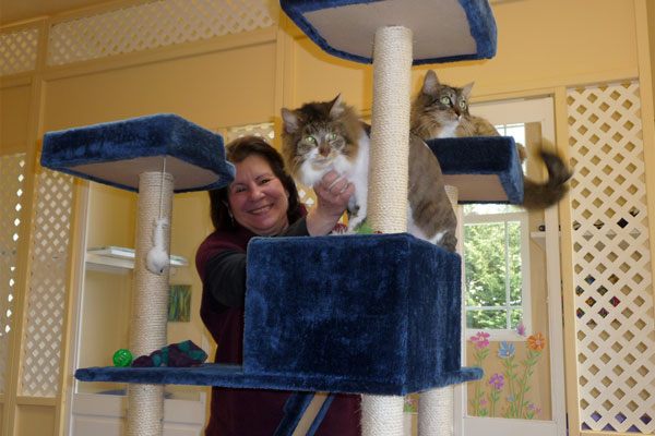 Sequim’s cool condos for cats