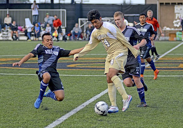Peninsula's Keo Ponce (14) dribbles past Whatcom's Diego Avina in PC's 5-0 win on Oct. 28.