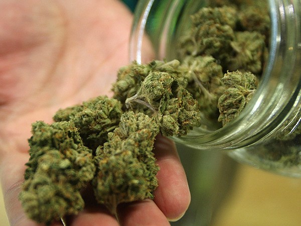 County controls for recreational cannabis still undecided