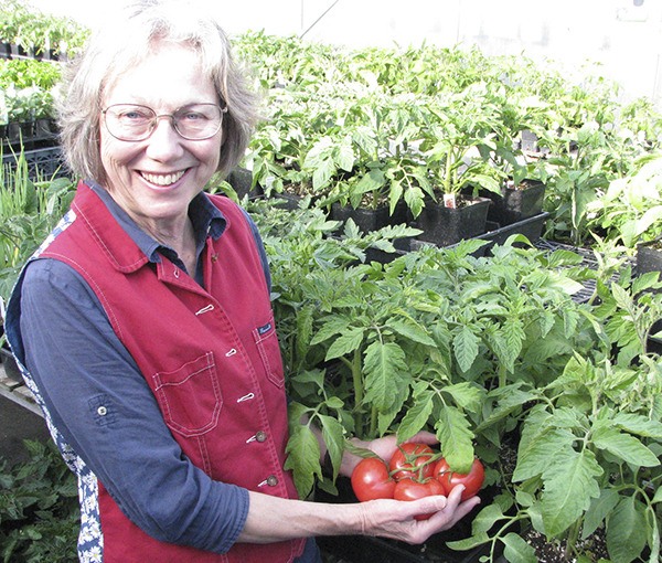Veteran Master Gardener Judy English presents “Get Ready for Tomatoes” on May 8 in Port Angeles and May 10 in Sequim.