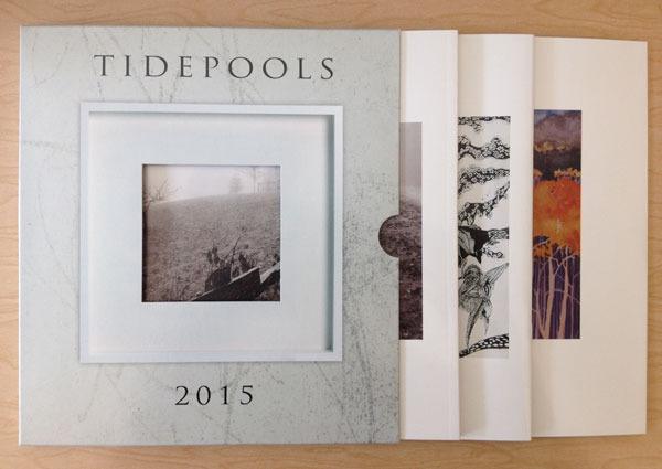 The editors of Tidepools Magazine announced last month the opening of the contest for their 52nd issue.
