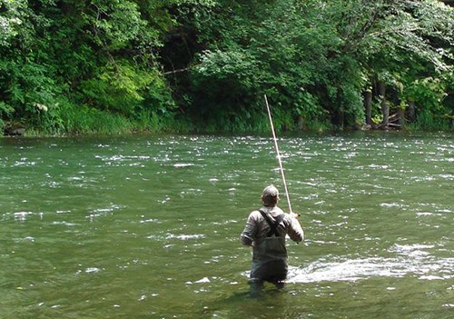 ONP shuts down recreational fishing in most Olympic National Park rivers