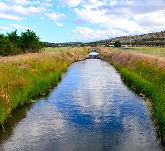 Surplus state-held water rights targeted for irrigation, local uses