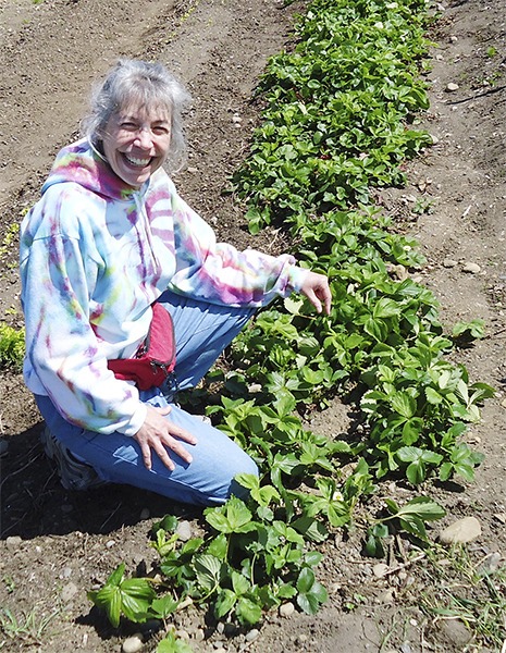 WSU Clallam County Master Gardener Jeannette Stehr-Green will present “Berry Basics” at noon Thursday
