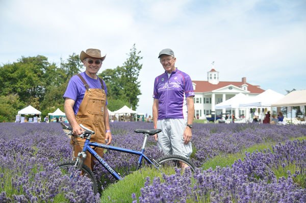 Dan Abbott of Washington Lavender and Tom Coonelly of Sequim Spoke Folk Bicycle Club are gearing up for the second Tour de Lavender slated for Aug. 2-3.