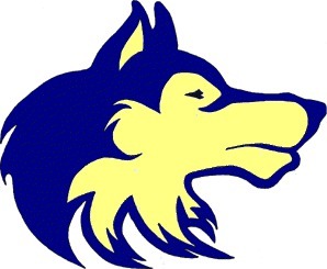 Boys swimming/diving: SHS Wolves show improvements in dual meet defeats