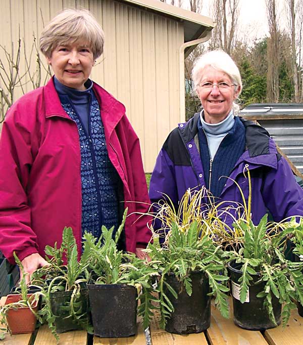 Master Gardener plant sale slated for May 7