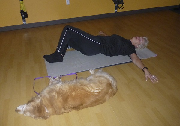 Leilani Sundt and her dog Crystal do some yoga stretches during a recent Fit4life fundraiser for Welfare for Animals Guild. The Feb. 20 event raised neatly $350 for the nonprofit dog rescue organization based in Sequim