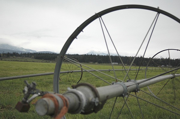 Irrigation systems likely will retire early this season as Washington Water Trust officials try to encourage some farmers not to irrigate late in the season from Aug. 15-Sept. 15.