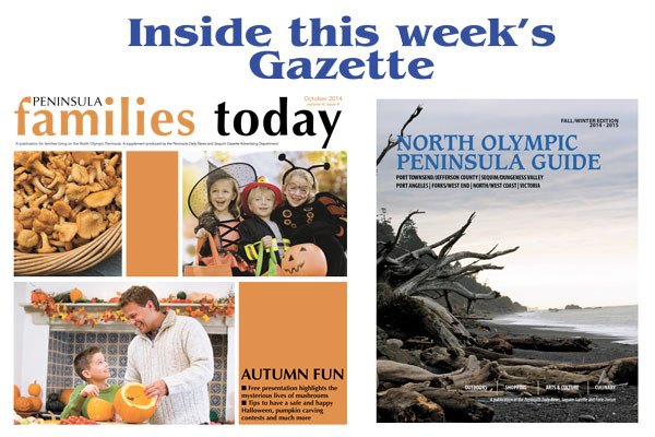 Two of the three publications in this week's Gazette.