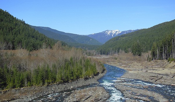Olympic National Park opens temporary foot trail at Elwha Valley