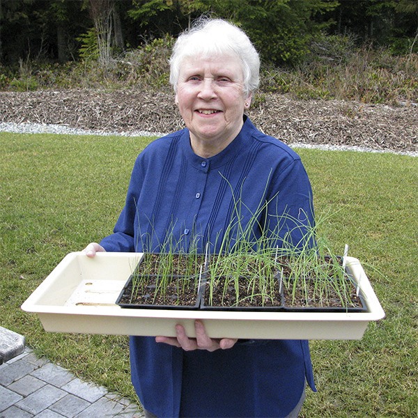 Veteran WSU Clallam County Master Gardener Lois Bellamy will present “Starting Seeds Indoors” from noon-1 p.m. Thursday