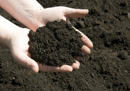 Get It Growing: Understanding garden soil, Part I: The components