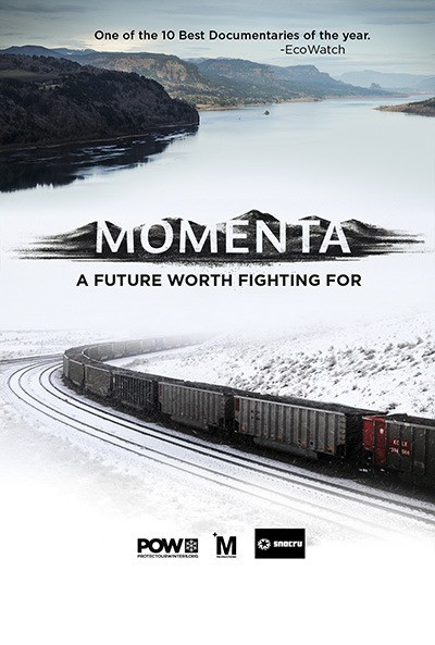 Film cover of 'Momenta'