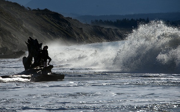 Contributor Bob Weeks spotted two visitors to the Dungeness Spit standing tall against crashing waves on April 1.