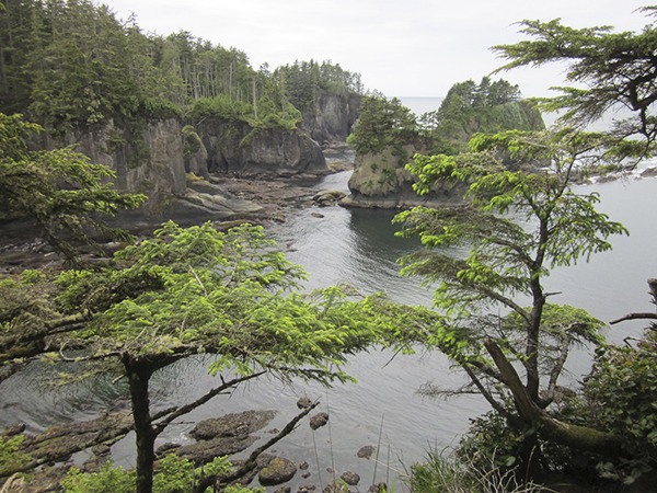 Starting from Cape Flattery to just north of the Copalis River and extending 25 to 50 miles into the Pacific