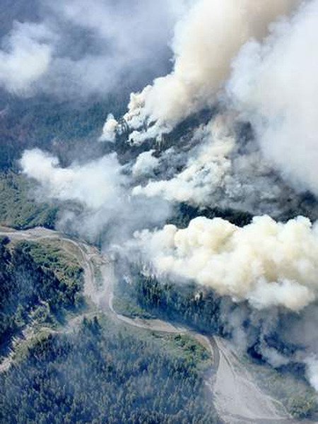 An aerial photo in mid-June shows plumes of smoke from the Paradise Fire in Olympic National Park.