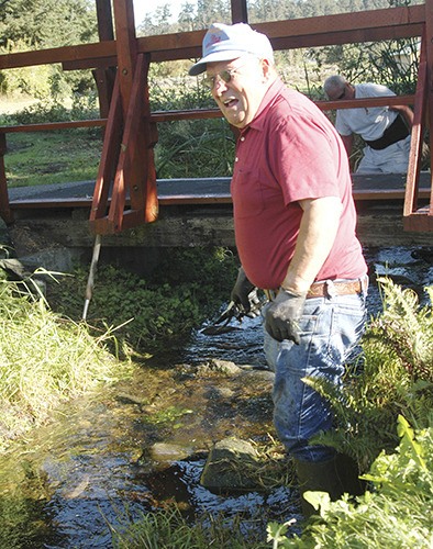 Sequim Sunrise Rotary Club member Chris Coolures weeds the stream bed to allow water to flow properly from the pond at the center of the Sequim-Shiso Friendship Garden.