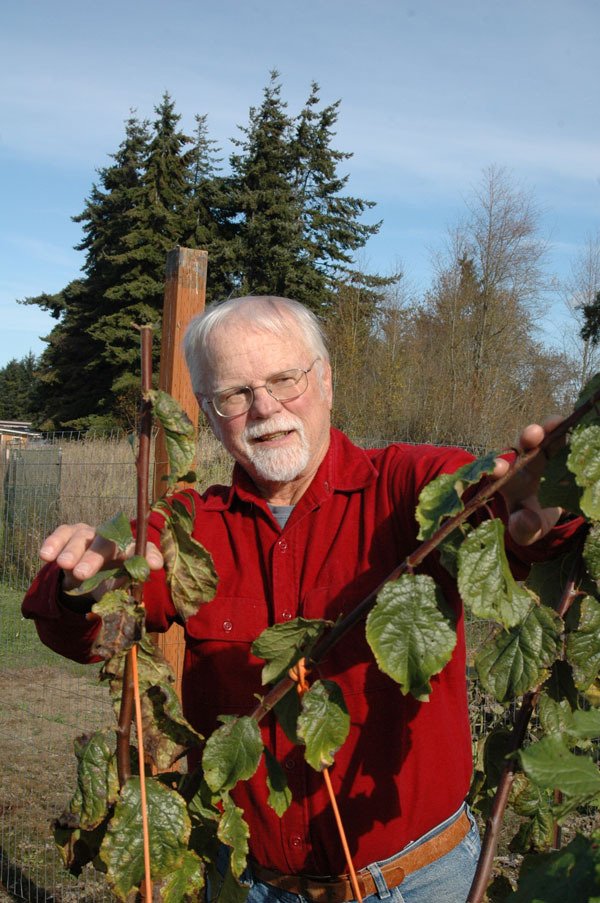 Those attending the upcoming Fall Fruit Show can learn tips and pruning methods
