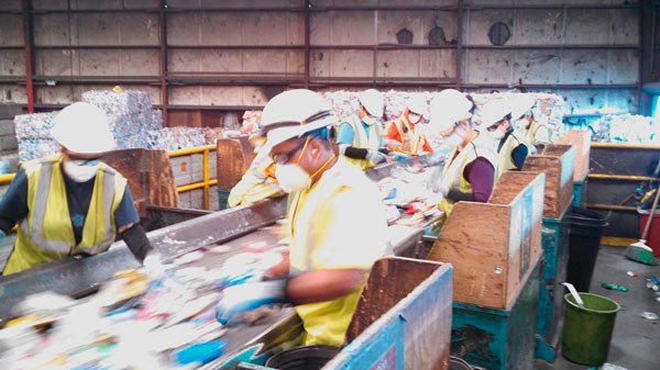 Employees at Pioneer Recycling Services sort through the recyclables after they arrive in a compressed bale form from surrounding communities
