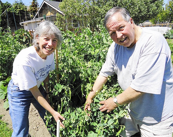Lunch In The Garden veteran Master Gardeners Jeanette Stehr-Green and Bill Wrobel will lead a one-hour walk through the Fifth Street Community Garden