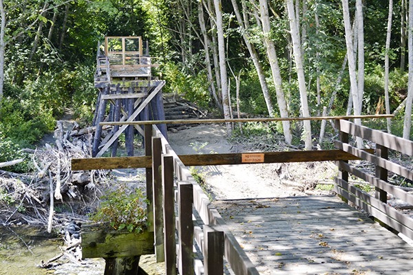 In preparation for the full replacement of the damaged trestle at Railroad Bridge Park and to avoid major conflict with pink and chinook salmon spawning in the project area (expected to begin by mid-month)