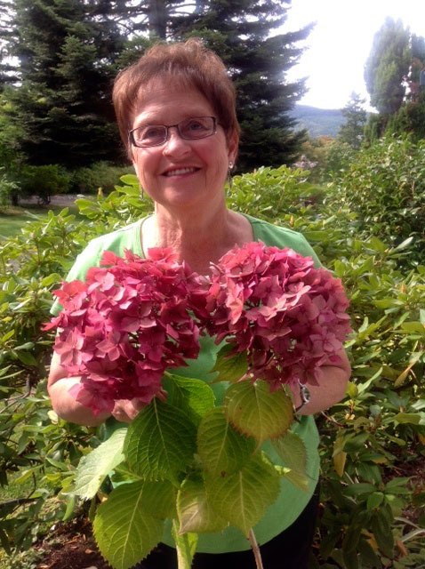 Marilyn Stewart will talk with the community about growing hydrangeas on the Olympic Peninsula on Sept. 12.