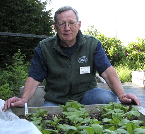WSU Clallam County Master Gardener David Rambin will present “Planting Now for Fall and Winter Harvest” at noon Thursday