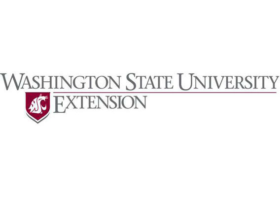 WSU Extension offers free local investment workshops Feb. 10-11