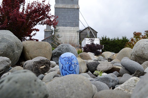 Melissa Merideth’s painted elephant rock resides by Tootsie’s and the grain elevator next to Baja Cantina. Merideth is a member of Sequim Rocks