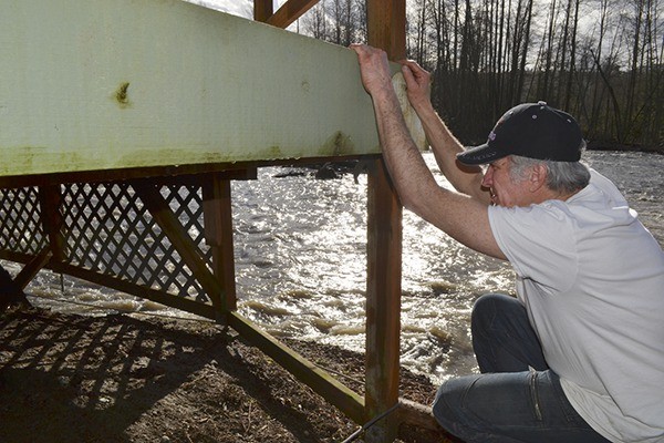 Matt McWilliams looks below his Sequim home’s deck that is threatened to be swept away by the Dungeness River.