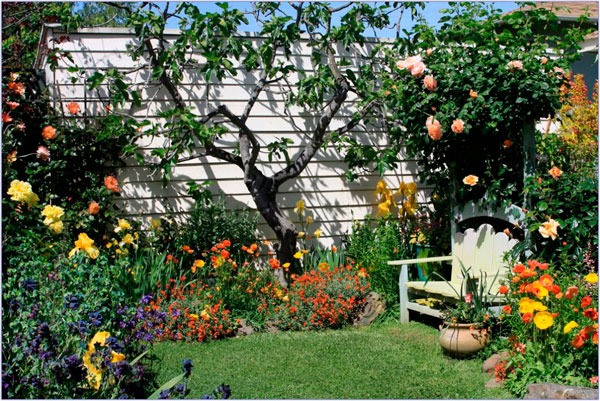 Master Gardeners provide basics for creating your dream space.