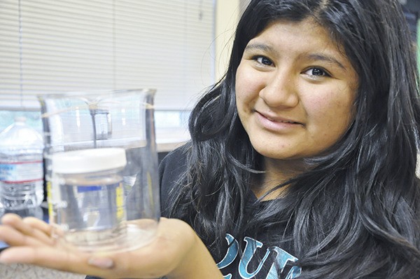 Seventh-grader Paola Villegas is studying planarian