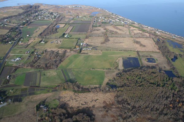 An aerial photo shows conserved farmland and wildlife habitat on private properties near the mouth of the Dungeness River. About 325 acres of farmland and habitat in this photo are permanently conserved through conservation easements between the Land Trust and local landowners.