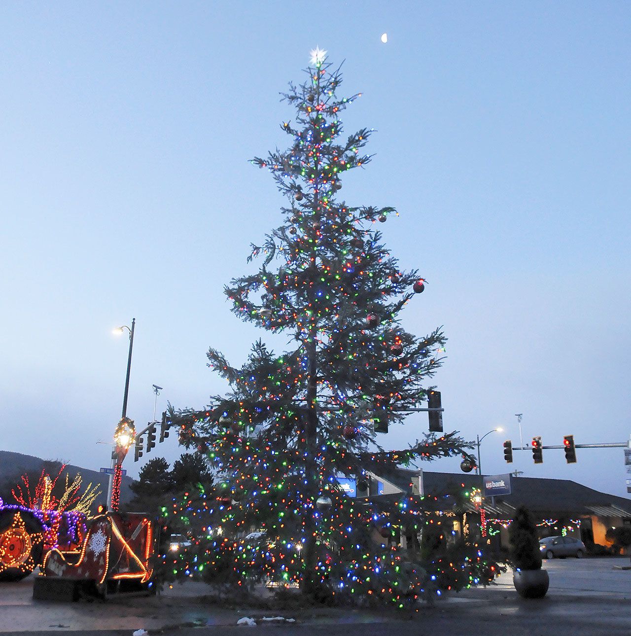 Trees With Stories: Sequim’s Holiday Fir