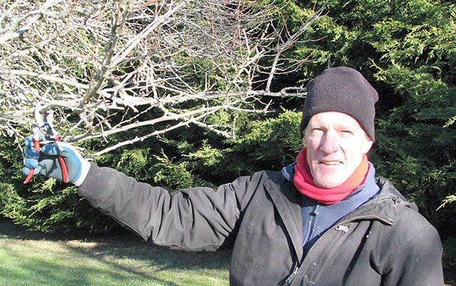 Clark Horticulture owner Gordon Clark will kick off the 2017 Clallam County Master Gardener Green Thumb Garden Tips series with a presentation on pruning techniques to manage growth and production of young trees from noon-1 p.m. Thursday, Jan. 26, in the county commissioners meeting room of the Clallam County Courthouse, Port Angeles. The Green Thumb Garden Tips brown bag series is sponsored by the WSU Clallam County Master Gardeners on the second and fourth Thursday of every month. Submitted photo