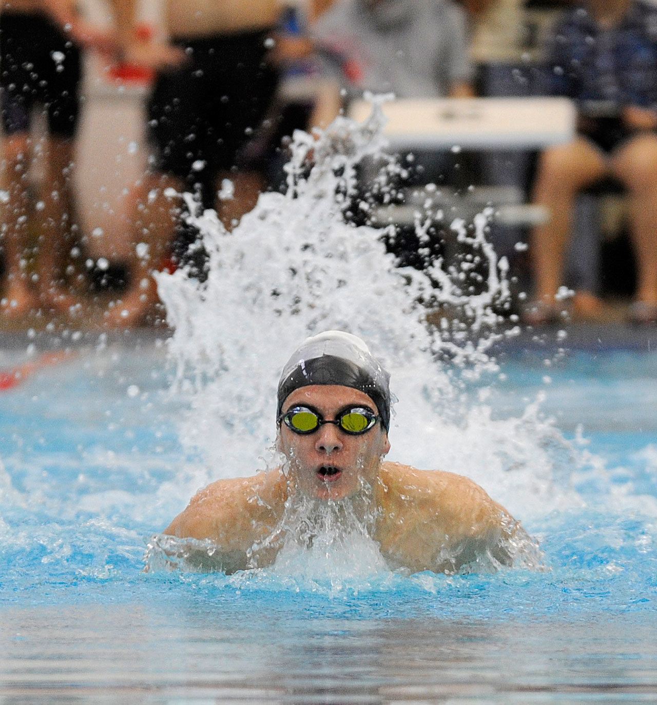 Boys swimming: Wolves set eight best marks in loss to Kingston