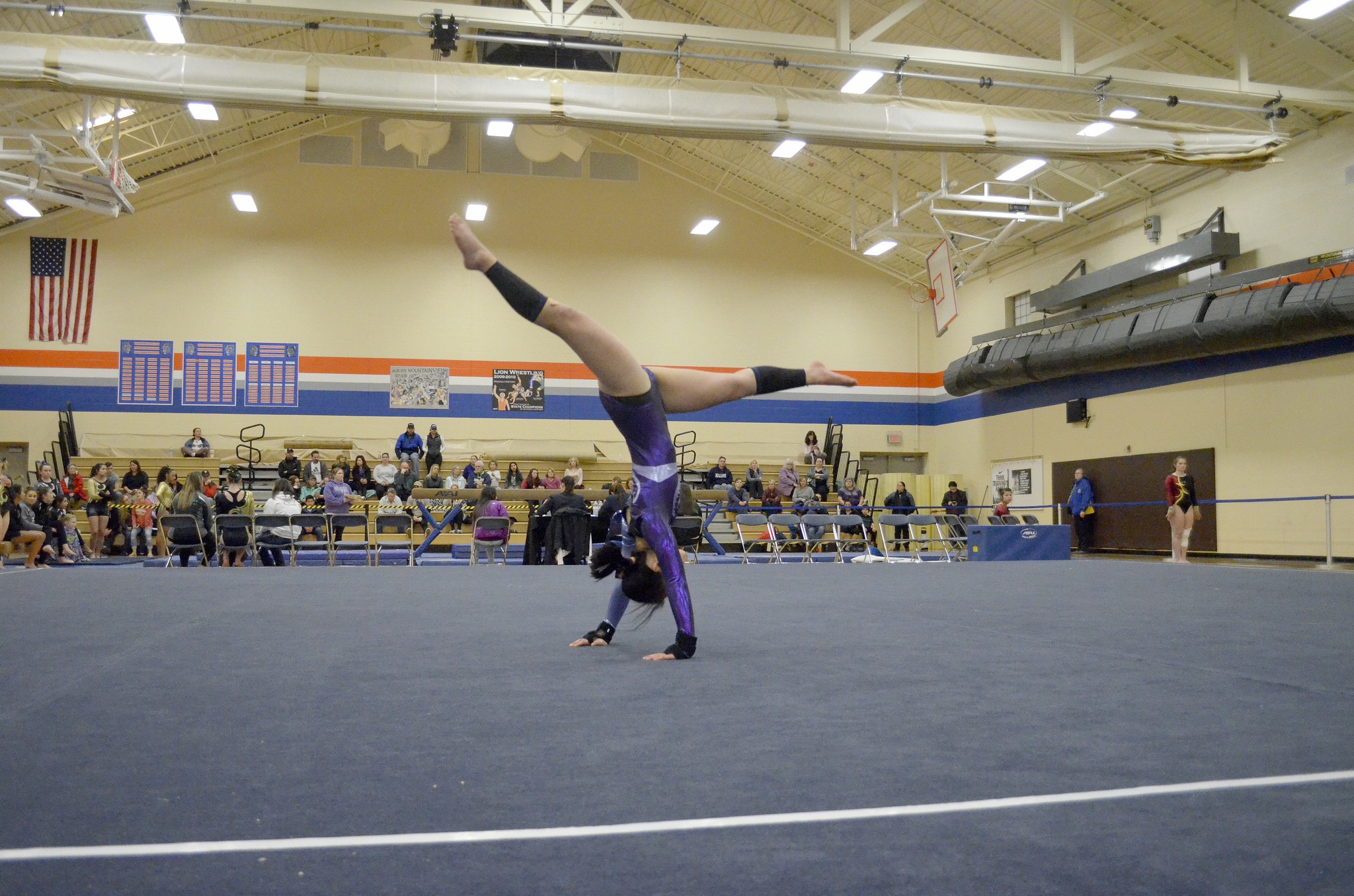Gymnastics: Sequim’s Pfeffer and Sweet, PA teammates advance to districts