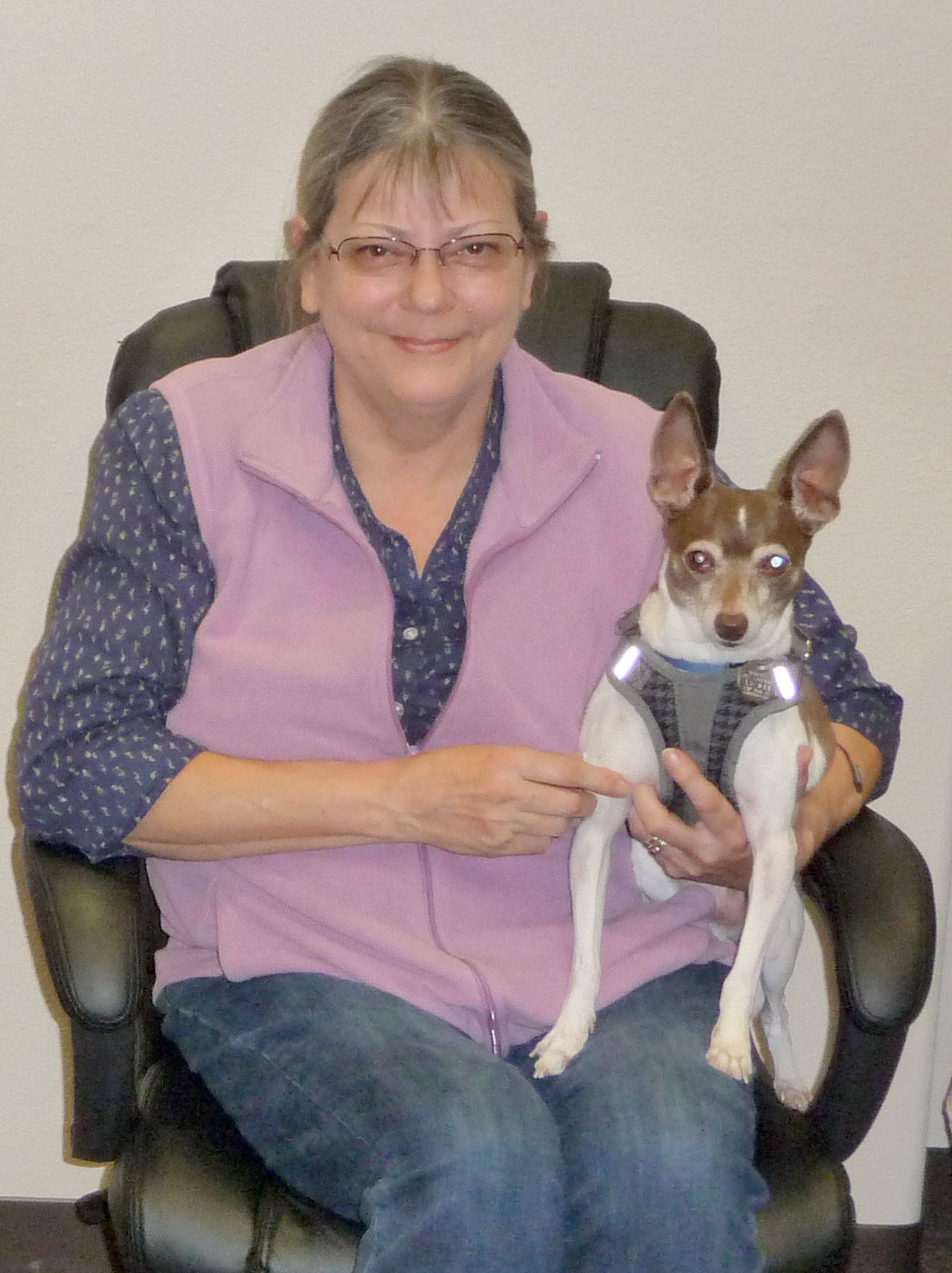 Professional pet sitter Lorre Schneider poses with her charge “Icky,” a rat terrier — so named by her young human siblings. Sequim Gazette photo by Patricia Morrison Coate