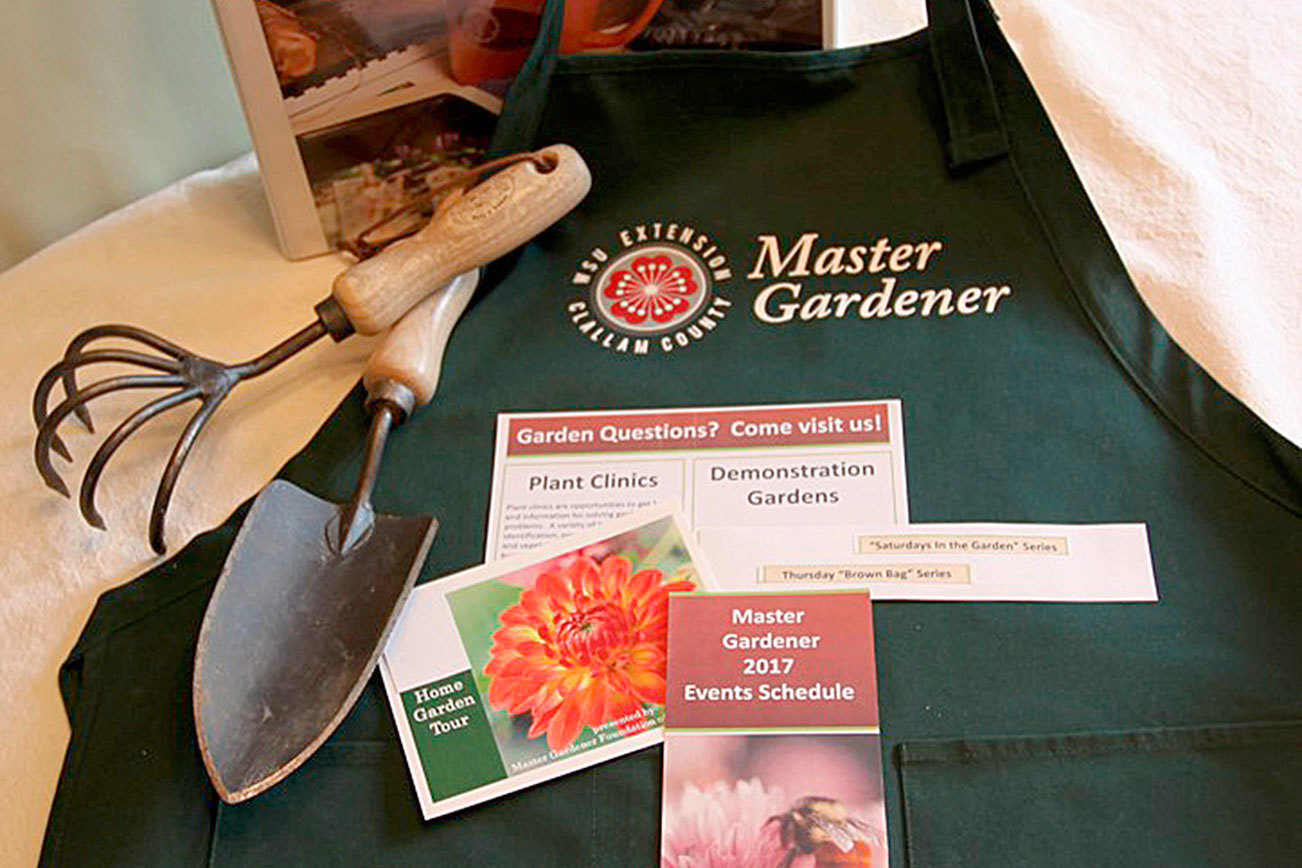 Get It Growing: Who are the Master Gardeners?