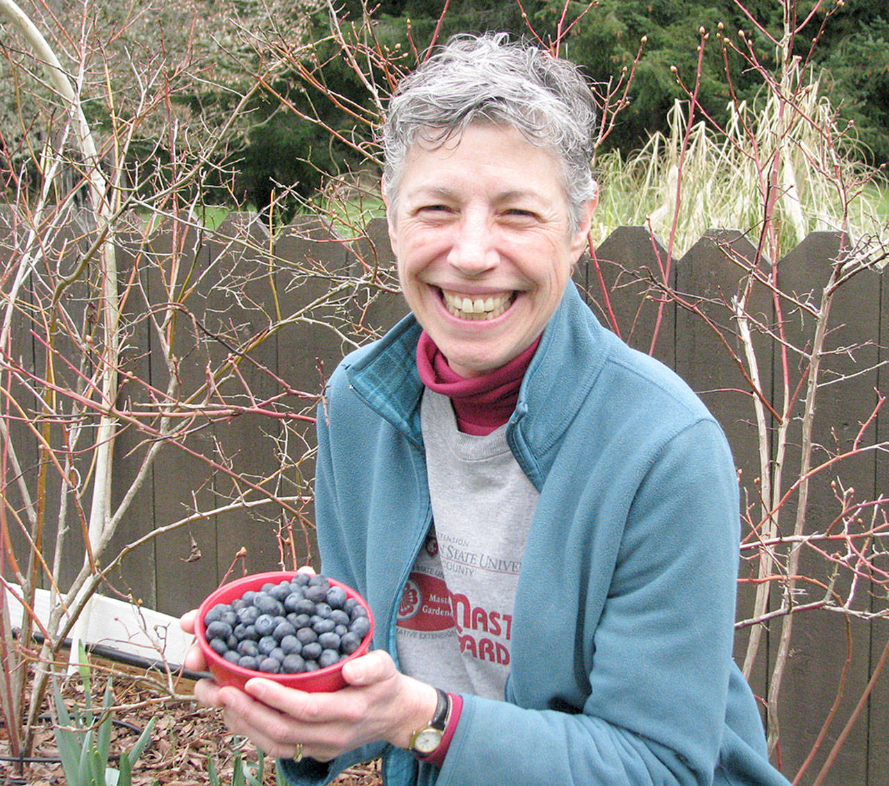 WSU Clallam County Master Gardener Jeannette Stehr-Green will present “What Do Your Blueberries Need to be Happy?” at noon Thursday, April 27. Photo by Amanda Rosenberg